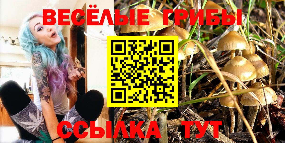 Псилоцибиновые грибы MAGIC MUSHROOMS Мытищи